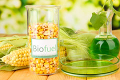 Meer Common biofuel availability
